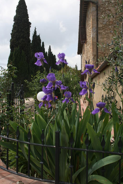 Farm stay Antico Casolare