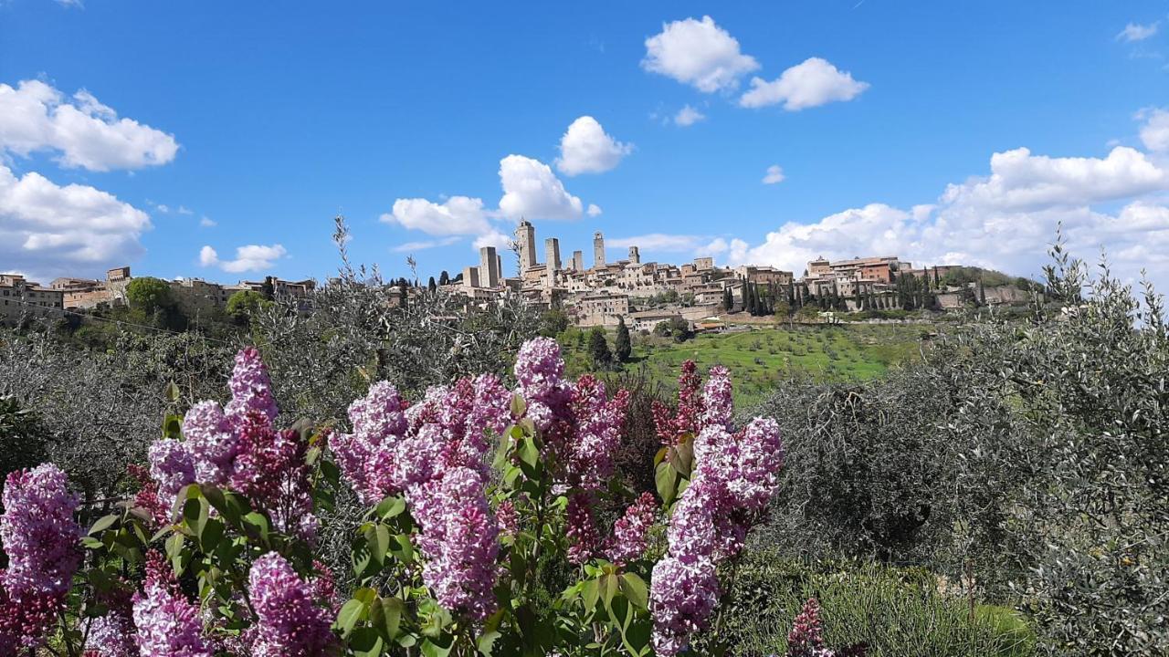 Antico Casolare * San Gimignano